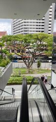 Biopolis, Neuros (D14), Shop House #566106301
